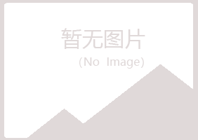 青岛字迹化学有限公司